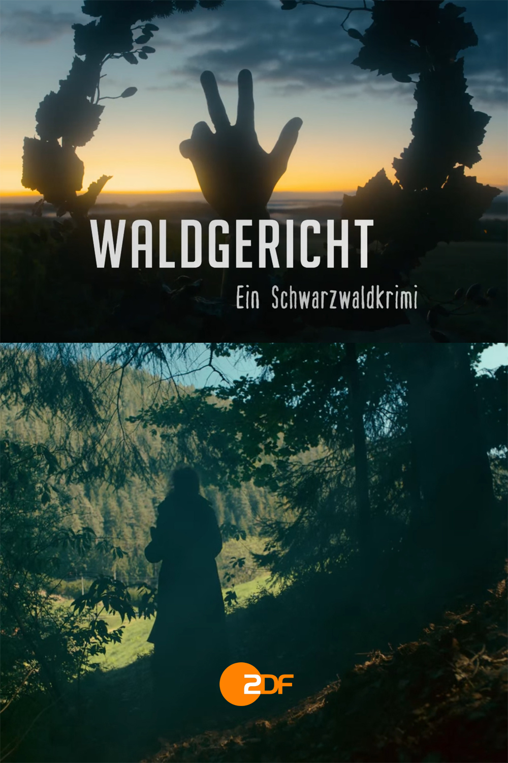 Waldgericht - ein Schwarzwaldkrimi (2021)